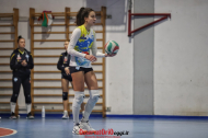 sofia negro