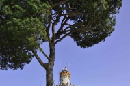 Foto Marica Mastrangelo