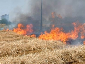 Campagna antincendi a Fasano: le disposizioni per i cittadini - OsservatorioOggi