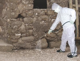Disinfestazione cittadina