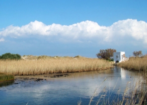 parco delle dune costiere