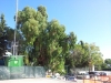 La nascente antenna alla Selva