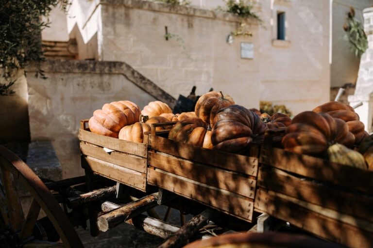 Autunno a Borgo Egnazia: la Festa della Zucca - Osservatorio Fasano