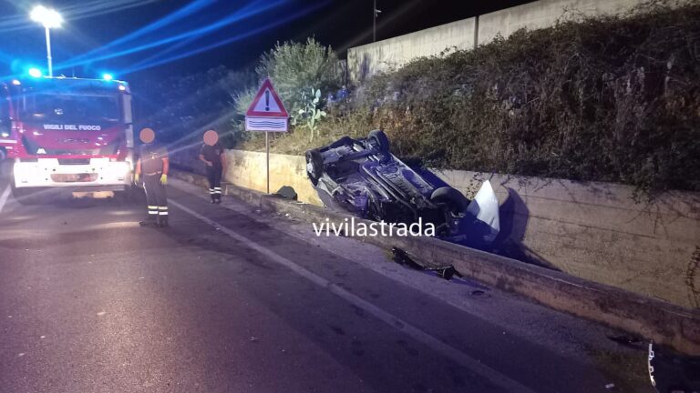 SS172: incidente nella notte, diversi feriti SS172: incidente nella notte, diversi feriti - Osservatorio Fasano