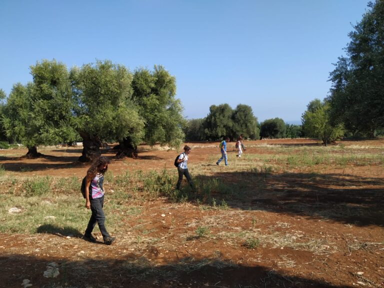 Progetto Egnazia: la ventesima campagna di indagini archeologiche Progetto Egnazia: la ventesima campagna di indagini archeologiche - Osservatorio Fasano