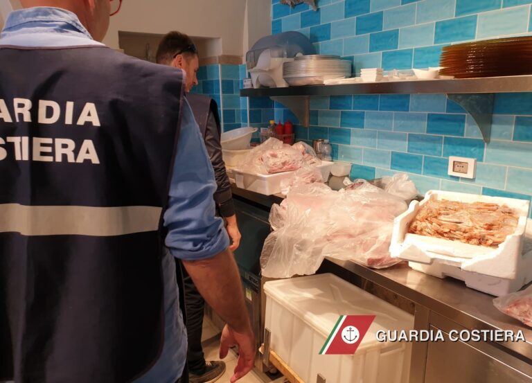 Operazione su scala regionale sulla filiera della pesca: sequestri anche a Savelletri - Osservatorio Fasano