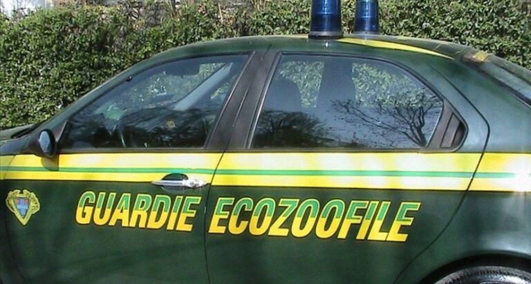 Il M5S fasano propone le Guardie Ecozoofile - Osservatorio Fasano