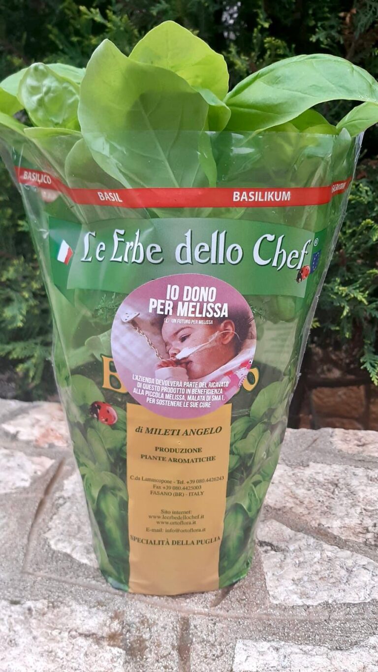 'Le erbe dello Chef' per aiutare Melissa - Osservatorio Fasano