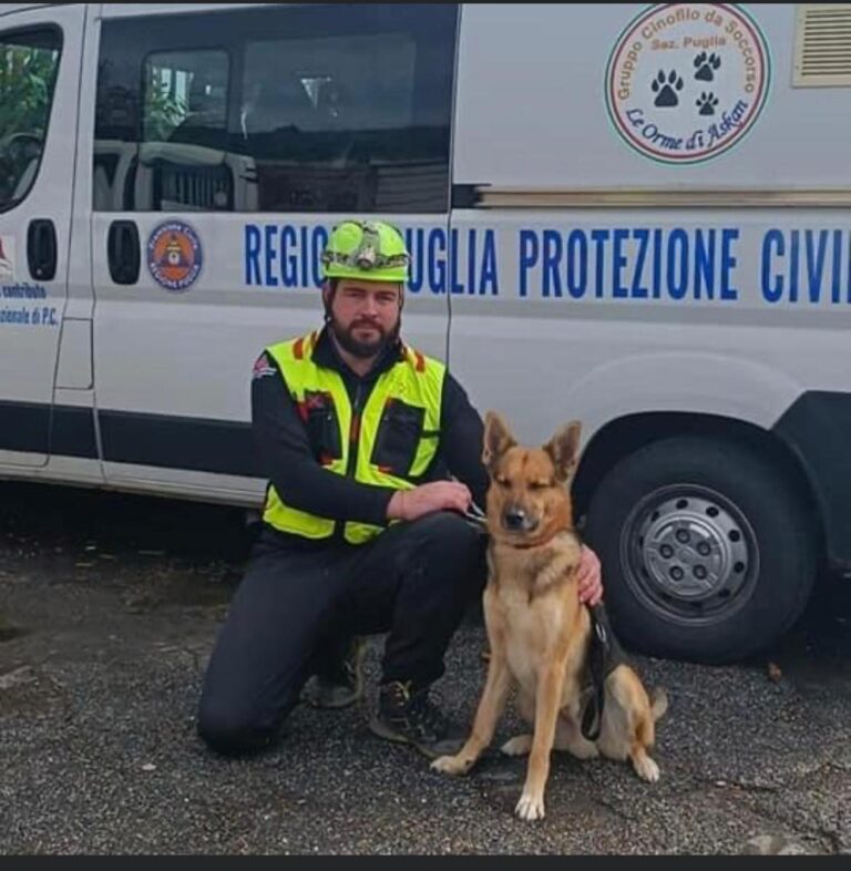 Continuano le ricerche del 28enne fasanese scomparso a Brindisi Continuano le ricerche del 28enne fasanese scomparso a Brindisi - Osservatorio Fasano