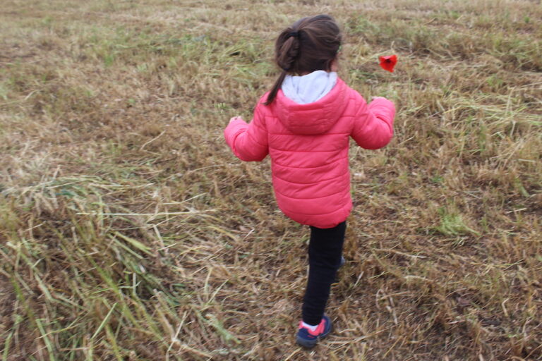 Seconda edizione del progetto “Bambini a contatto con la natura” Seconda edizione del progetto “Bambini a contatto con la natura” - Osservatorio Fasano