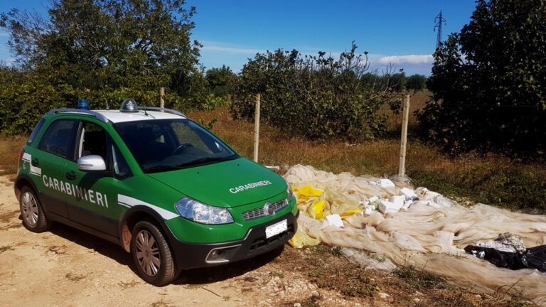 Motocross tra gli alberi in contrada Sant'Elia: intervento dei Carabinieri della Forestale di Ostuni - Osservatorio Fasano