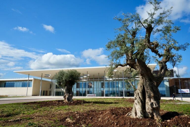 Nuovo Ospedale di Monopoli-Fasano: al via le procedure di gara per completare l’opera - Osservatorio Fasano