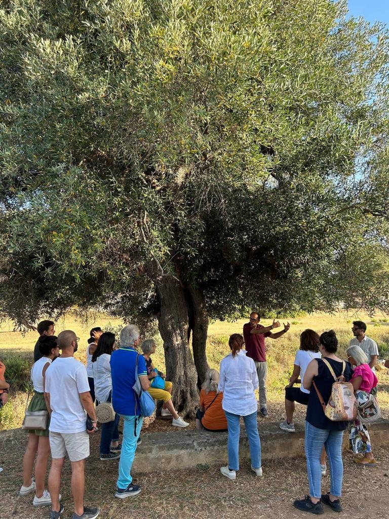 Politiche giovanili, corsi gratuiti di Comunicazione, Green Economy e Mental Coaching per orientare al futuro Politiche giovanili, corsi gratuiti di Comunicazione, Green Economy e Mental Coaching per orientare al futuro - Osservatorio Fasano