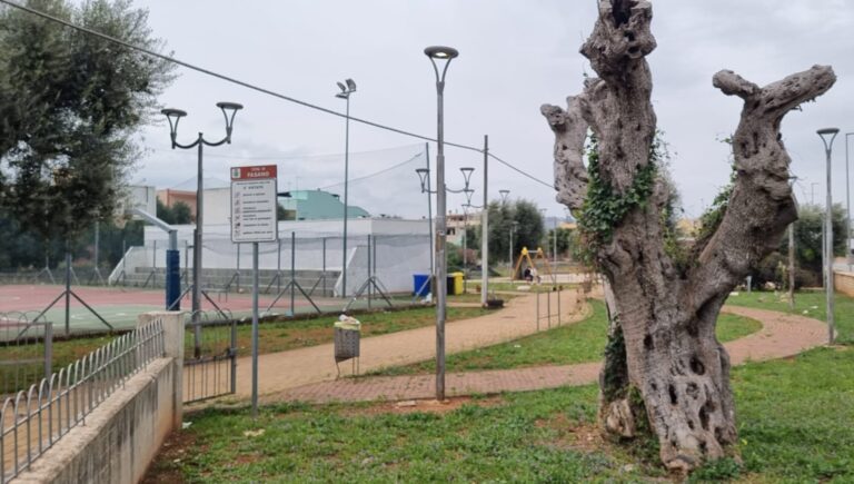Pezze di Greco, bando di gara per la gestione del Parco Urbano e del campetto polivalente Pezze di Greco, bando di gara per la gestione del Parco Urbano e del campetto polivalente - Osservatorio Fasano