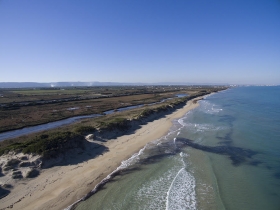 Italia Viva: Nominato il Presidente del Parco delle Dune Costiere, ancora una volta una scelta politica Italia Viva: Nominato il Presidente del Parco delle Dune Costiere, ancora una volta una scelta politica - Osservatorio Fasano