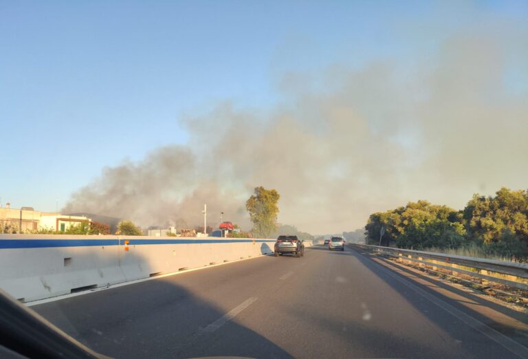 Europa Verde Fasano: finalmente le misure temporanee a scopo precauzionale a tutela della salute pubblica Europa Verde Fasano: finalmente le misure temporanee a scopo precauzionale a tutela della salute pubblica - Osservatorio Fasano