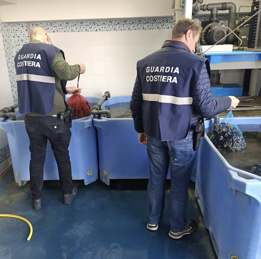 Operazione “Senza Traccia”, la Guardia Costiera di Brindisi per una tavola natalizia sicura Operazione “Senza Traccia”, la Guardia Costiera di Brindisi per una tavola natalizia sicura - Osservatorio Fasano