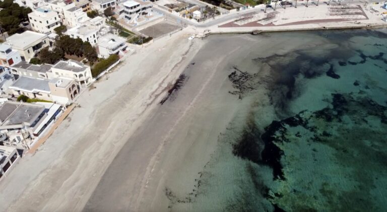 Torre Canne a misura della disabilità, approvato in giunta il progetto di valorizzazione e attrezzamento della spiaggia - Osservatorio Fasano