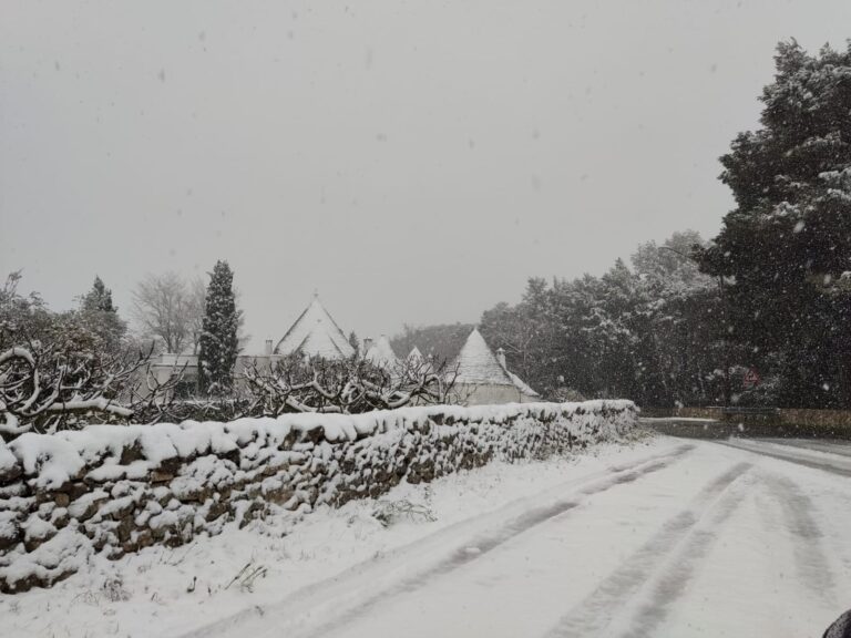 Fasano: le sue colline imbiancate dalla neve Fasano: le sue colline imbiancate dalla neve - Osservatorio Fasano