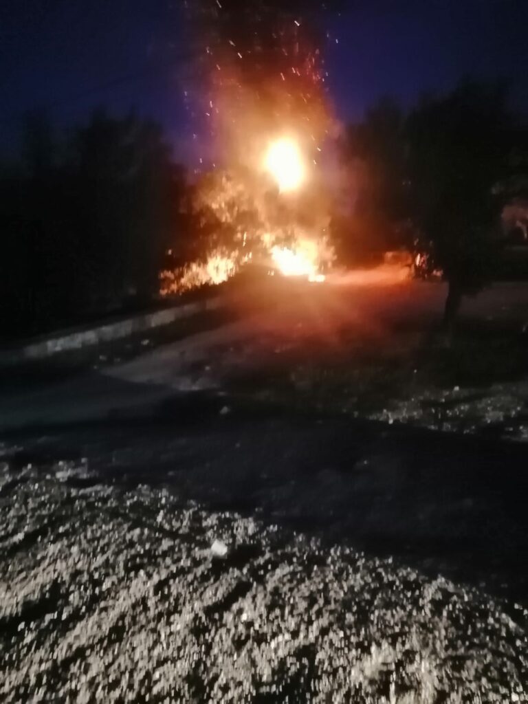 Incendio in via dello Zoo: pronto intervento dei Rangers del parco e dei VV.FF. - Osservatorio Fasano