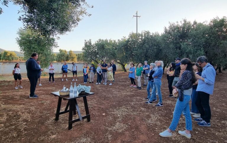 2ª edizione della Merenda nell’Oliveto tra storia e natura VIDEO 2ª edizione della Merenda nell’Oliveto tra storia e natura VIDEO - Osservatorio Fasano
