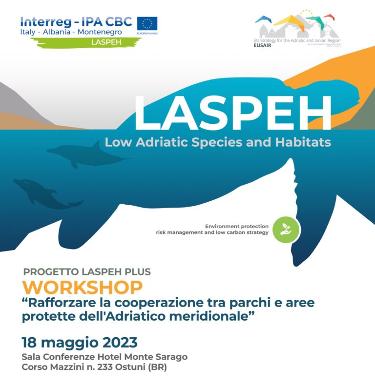 Workshop internazionale per la cooperazione tra parchi ed aree protette dell’Adriatico Meridionale Workshop internazionale per la cooperazione tra parchi ed aree protette dell’Adriatico Meridionale - Osservatorio Fasano