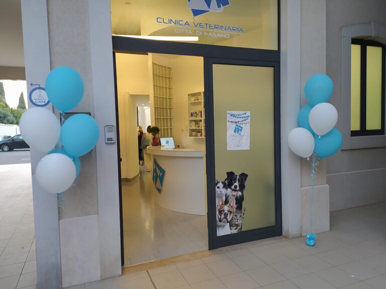 Aperta la nuova Clinica Veterinaria Città di Fasano Aperta la nuova Clinica Veterinaria Città di Fasano - Osservatorio Fasano