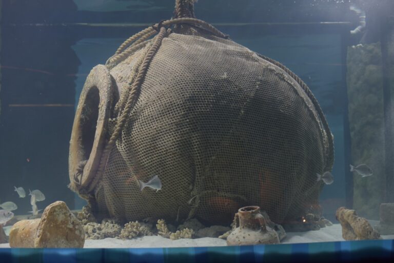 Svelato l’acquario nel Museo del Mare a Egnazia Svelato l’acquario nel Museo del Mare a Egnazia - Osservatorio Fasano