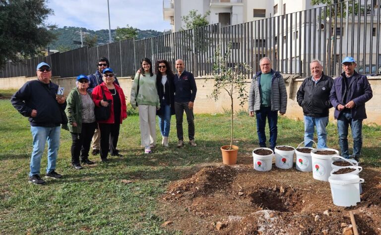 Festeggiata nelle scuole di Fasano la Giornata dell’Albero 2023 piantando un ulivo Festeggiata nelle scuole di Fasano la Giornata dell’Albero 2023 piantando un ulivo - Osservatorio Fasano