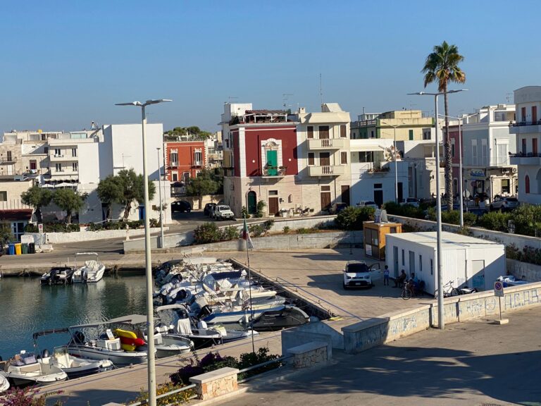 Realizzato un gabbiotto sul molo del porto di Savelletri - Osservatorio Fasano