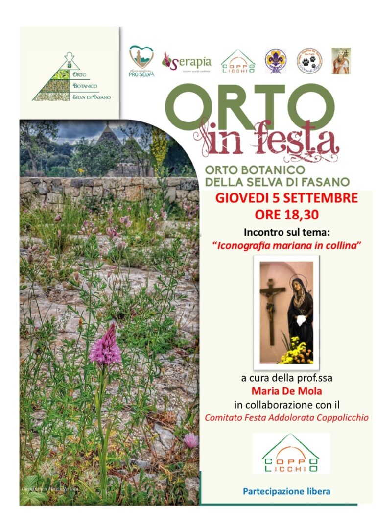 Iconografia Mariana in collina Iconografia Mariana in collina - Osservatorio Fasano