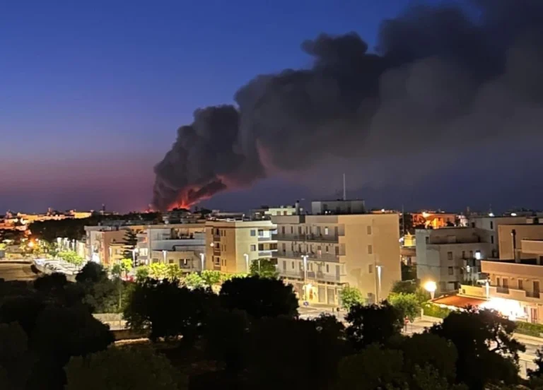 Vasto incendio ai margini della SS379 VIDEO Vasto incendio ai margini della SS379 VIDEO - Osservatorio Fasano