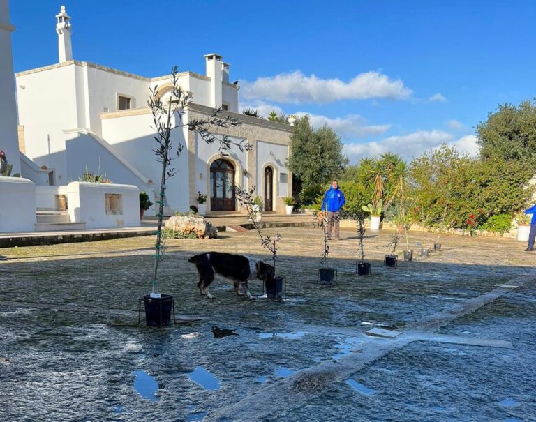 Contro la Xylella, in campo la task force dei cani Enci - Osservatorio Fasano