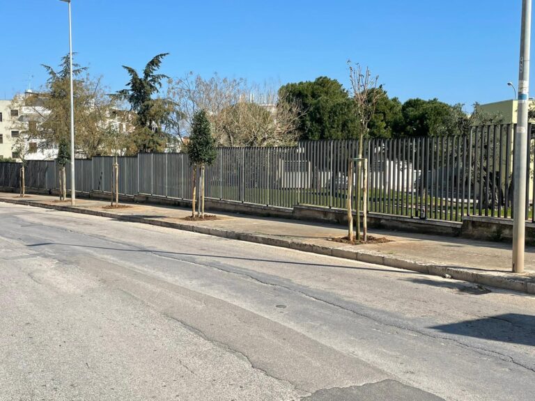 Al via la prima fase della piantumazione di 200 nuovi alberi in tutto il territorio - Osservatorio Fasano