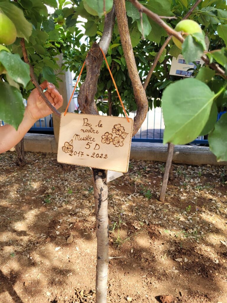 2ª Circolo: Gli alunni donano un albero 2ª Circolo: Gli alunni donano un albero - Osservatorio Fasano