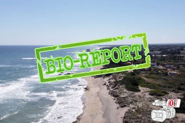 Bio Report - 1ª puntata - Il Parco delle Dune Costiere VIDEO - Osservatorio Fasano