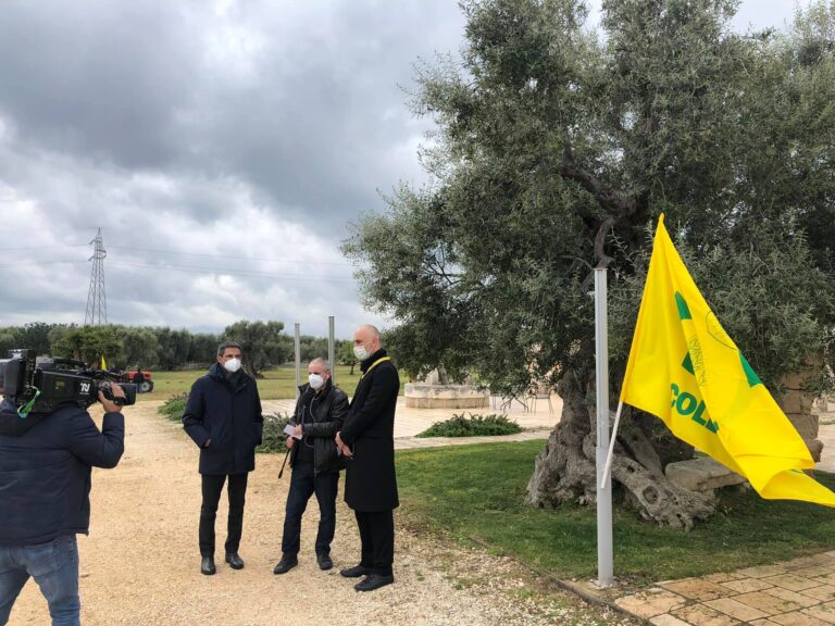 Coldiretti Puglia: piano antixylella day per salvare ulivi e paesaggio - Osservatorio Fasano