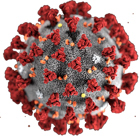 Zaccaria: ‘5 nuovi positivi al Coronavirus a Fasano’ Zaccaria: '5 nuovi positivi al Coronavirus a Fasano' - Osservatorio Fasano