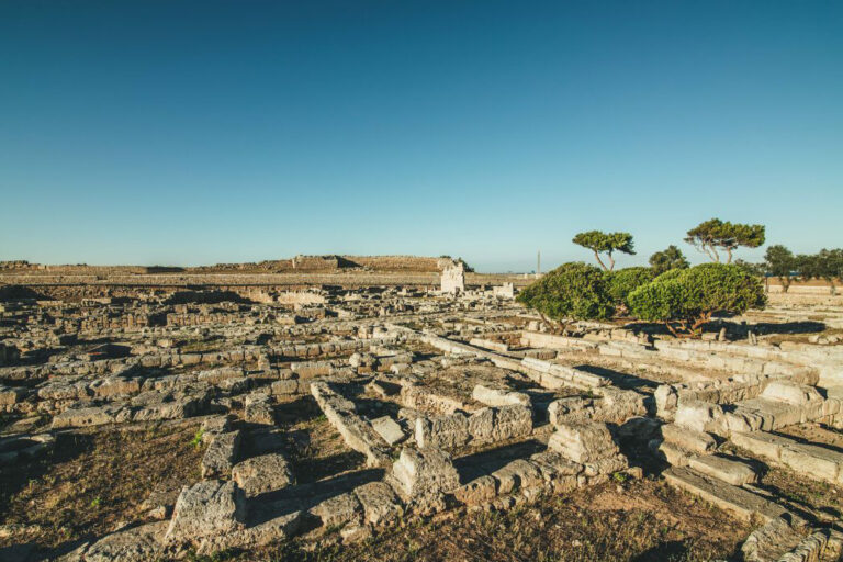Puglia ritorna gialla: riaprono i musei - Osservatorio Fasano
