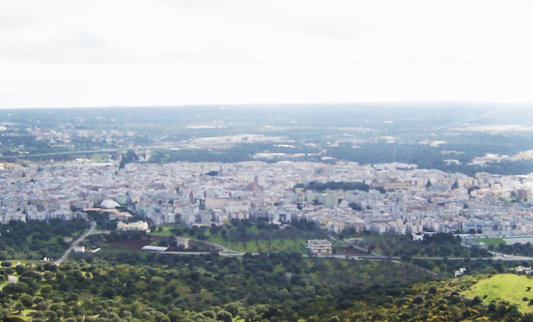 Crisi abitativa a Fasano: una città che perde i suoi cittadini Crisi abitativa a Fasano: una città che perde i suoi cittadini - Osservatorio Fasano