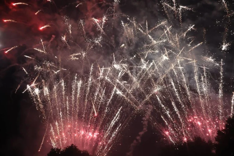 Penultima serata dei Festeggiamenti Patronali a Fasano: un trionfo di fede, musica e luci Penultima serata dei Festeggiamenti Patronali a Fasano: un trionfo di fede, musica e luci - Osservatorio Fasano