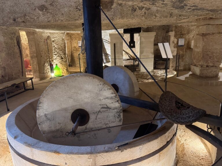 L'Ipogeo Savoia rinasce: un viaggio nella storia dell'olio - Osservatorio Fasano