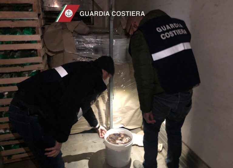 Capitaneria di Porto di Brindisi: Maxi sequestro di Oloturie a Fasano VIDEO Capitaneria di Porto di Brindisi: Maxi sequestro di Oloturie a Fasano VIDEO - Osservatorio Fasano