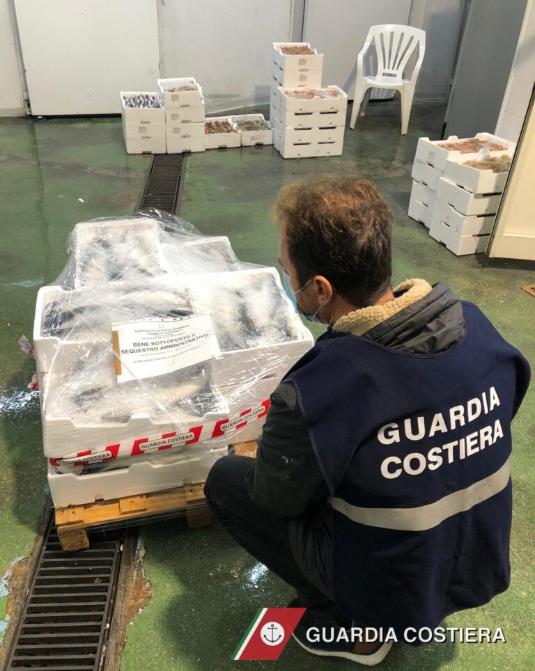 100 kg di 'cefalo' sequestrato e donato allo Zoosafari - Osservatorio Fasano