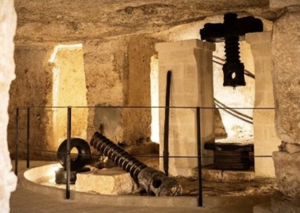 Ipogeo Savoia: inaugura a Pezze di Greco un museo nella pietra per raccontare l’anima dell’olio Ipogeo Savoia: inaugura a Pezze di Greco un museo nella pietra per raccontare l’anima dell’olio - Osservatorio Fasano