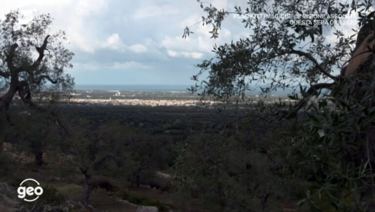 Fasano e le sue Tradizioni a 'Geo' il programma documentario di RAI3 - Osservatorio Fasano