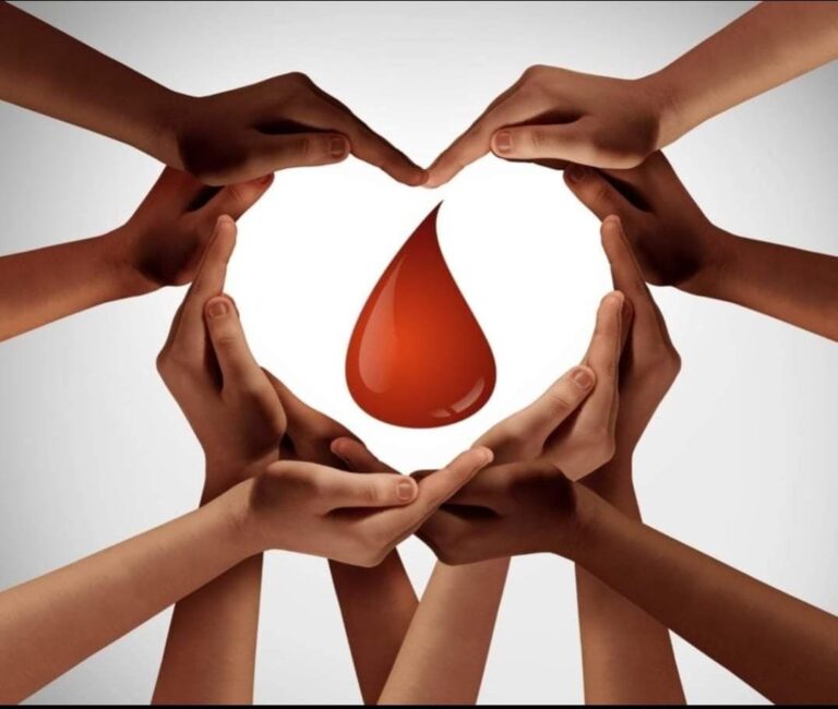Domenica 17 dicembre giornata di donazione di sangue AVIS Domenica 17 dicembre giornata di donazione di sangue AVIS - Osservatorio Fasano
