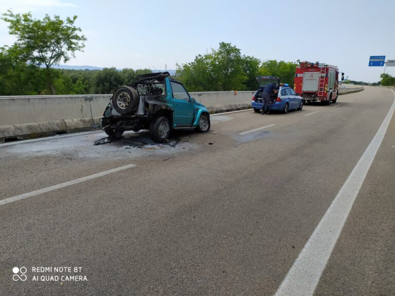 Incidente sulla SS379 in zona Torre Canne: traffico in tilt in direzione Bari - Osservatorio Fasano