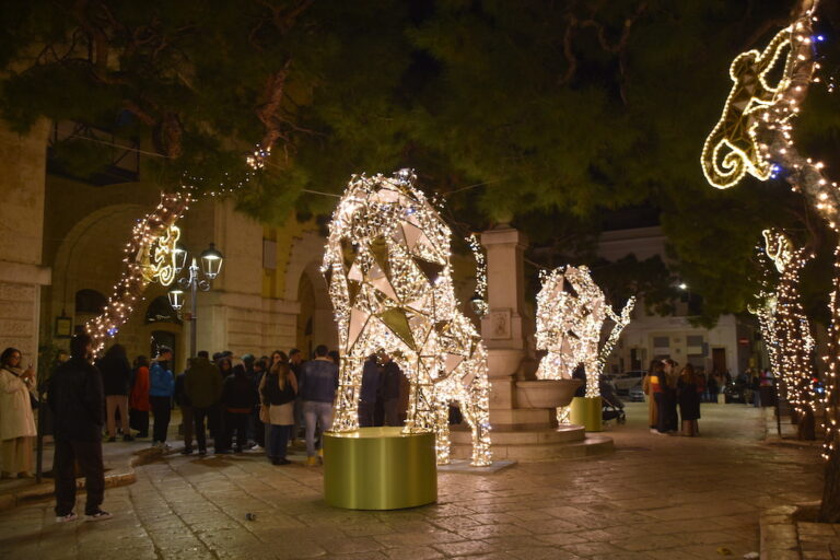 Inaugurate le luminarie natalizie a tema per i 50 anni dello Zoosafari VIDEO - Osservatorio Fasano