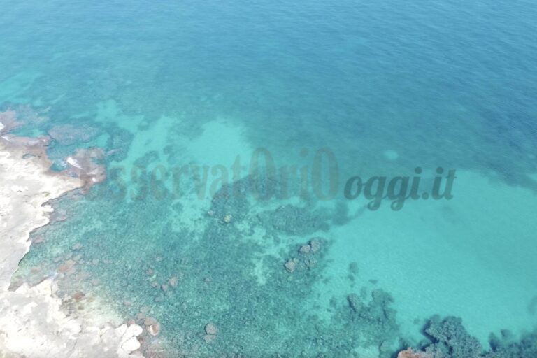 Bandiera blu, Fasano premiata per l’11mo anno consecutivo Bandiera blu, Fasano premiata per l’11mo anno consecutivo - Osservatorio Fasano